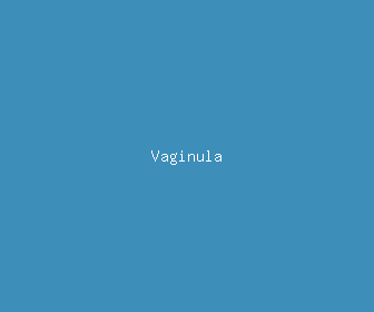 vaginula meaning, definitions, synonyms