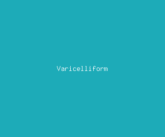 varicelliform meaning, definitions, synonyms