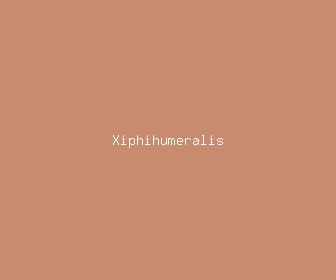 xiphihumeralis meaning, definitions, synonyms