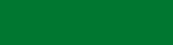 007731 - Fun Green Color Informations