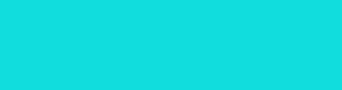11dddd - Bright Turquoise Color Informations