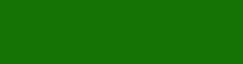 157204 - Japanese Laurel Color Informations