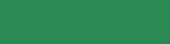 2c8b52 - Sea Green Color Informations