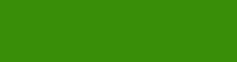 398e08 - Green Leaf Color Informations