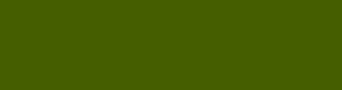 455e00 - Verdun Green Color Informations