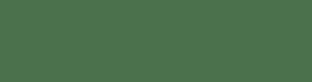 4a714a - Axolotl Color Informations