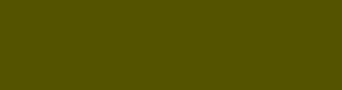 535300 - Verdun Green Color Informations