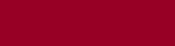 970025 - Burgundy Color Informations