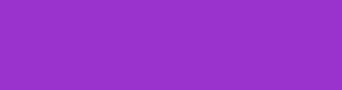 9933cc - Purple Heart Color Informations