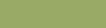 99aa66 - Green Smoke Color Informations