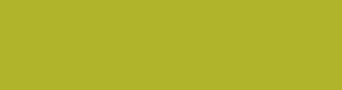 afb42b - Lemon Ginger Color Informations