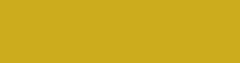 ccac1d - Golden Grass Color Informations