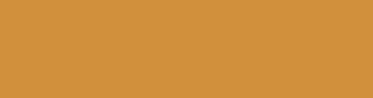 d1903c - Raw Sienna Color Informations