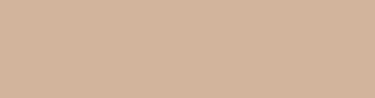 d1b399 - Sorrell Brown Color Informations