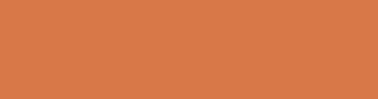 d87848 - Raw Sienna Color Informations