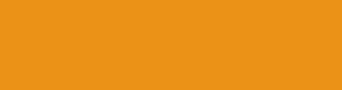 eb9217 - Carrot Orange Color Informations