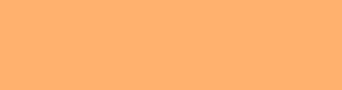 ffb16d - Atomic Tangerine Color Informations